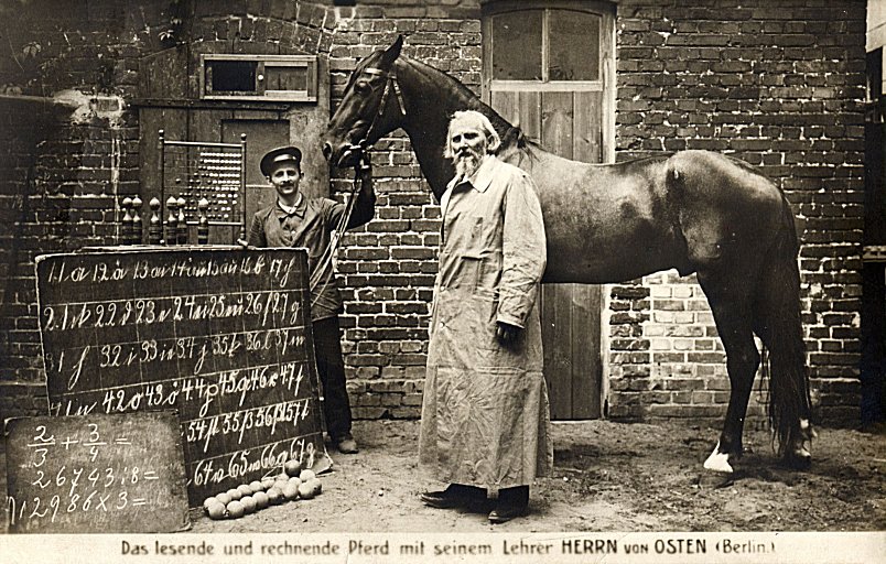 Clever Hans, the horse that could apparently do arithmetic